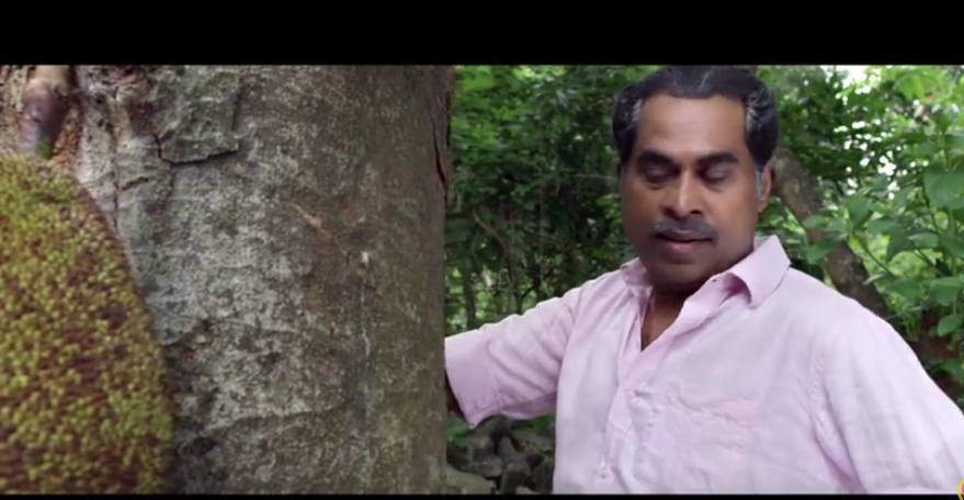 ഇതാ ഒരു ചക്കപ്പാട്ട്; സയനോര ഈണമിട്ട ഗാനം കാണാം