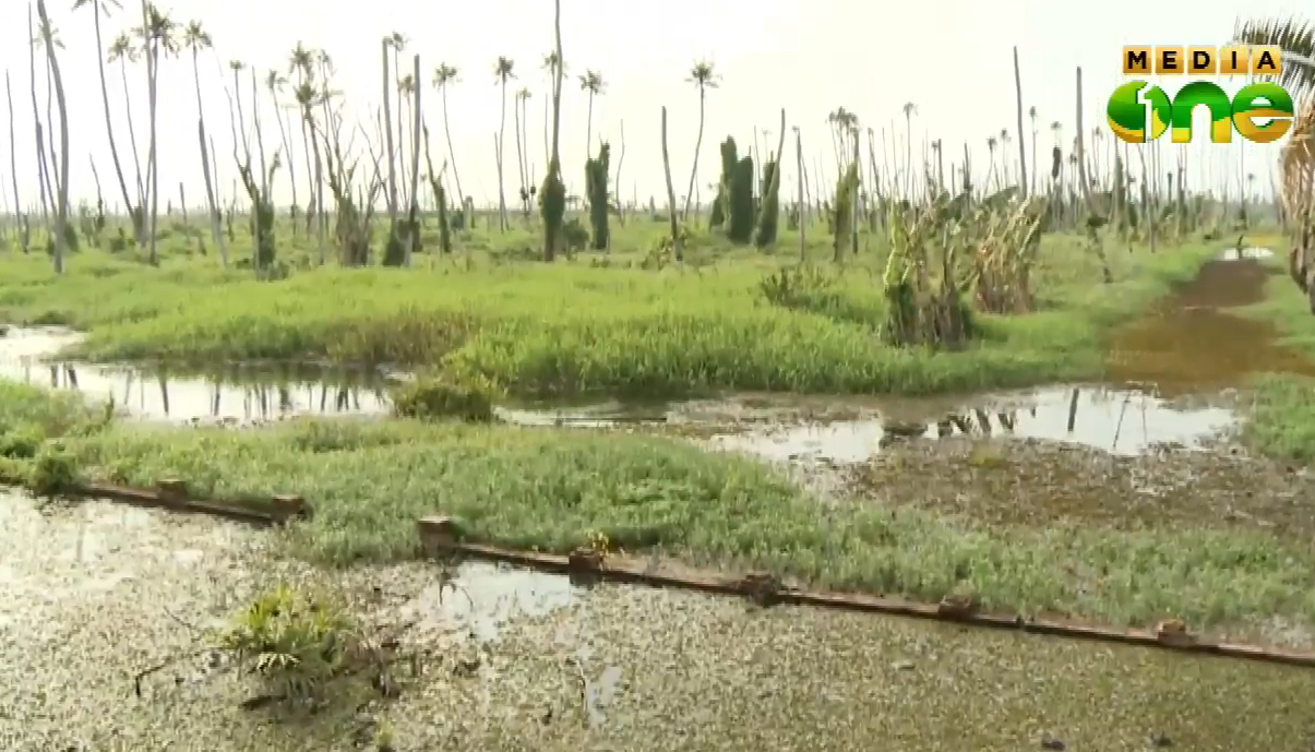 ആര്‍ ബ്ലോക്കില്‍ കൃഷി പുനരാരംഭിക്കുമെന്ന വാഗ്ദാനം നടപ്പായില്ല