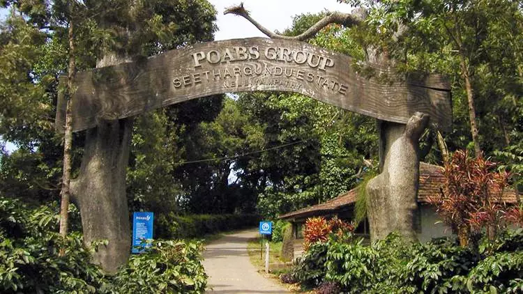 കരുണ എസ്റ്റേറ്റ് ഹൈക്കോടതിയില്‍ ഉപഹരജി ഫയല്‍ ചെയ്തു