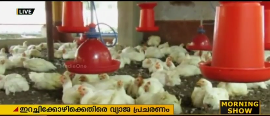 വ്യാജ പ്രചരണം; മലപ്പുറത്തെ ഫാമുകളില്‍ കോഴികള്‍ കെട്ടിക്കിടക്കുന്നു