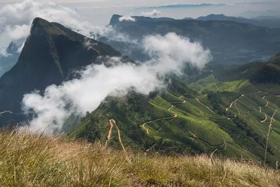 കൊളുക്കുമലയില് വേനല് കാലത്ത് തീപിടിത്തം പതിവ് സംഭവം കൊളുക്കുമലയില് വേനല് കാലത്ത് തീപിടിത്തം പതിവ് സംഭവം