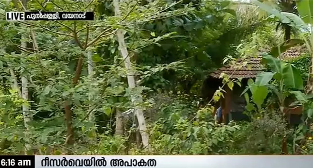 റീസര്‍വേയിലെ അപാകത പുല്‍പ്പള്ളിയിലെ കര്‍ഷകരെ ബുദ്ധിമുട്ടിക്കുന്നു