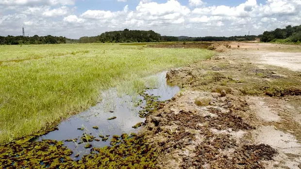 ആറന്മുളയിലെ ജലസ്രോതസുകള്‍ പുനസ്ഥാപിക്കാന്‍ നടപടിയില്ല