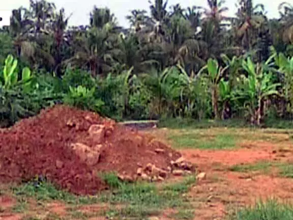 നെല്വയല് നികത്തല് സാധൂകരണ അപേക്ഷകള് പരിഗണിക്കില്ല നെല്വയല് നികത്തല് സാധൂകരണ അപേക്ഷകള് പരിഗണിക്കില്ല