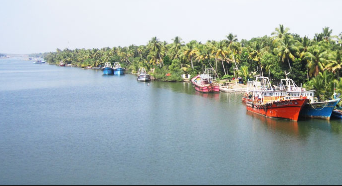 അഷ്ടമുടിക്കായലിനെ നശിപ്പിച്ച് വിനാശകരമായ മത്സ്യബന്ധനം