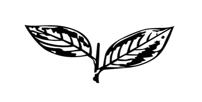 ഫ്രാന്സിസ് ജോര്ജിനും പി സി തോമസിനും തിരിച്ചുവരാമെന്ന് കേരള കോണ്ഗ്രസ് മുഖപത്രം ഫ്രാന്സിസ് ജോര്ജിനും പി സി തോമസിനും തിരിച്ചുവരാമെന്ന് കേരള കോണ്ഗ്രസ് മുഖപത്രം