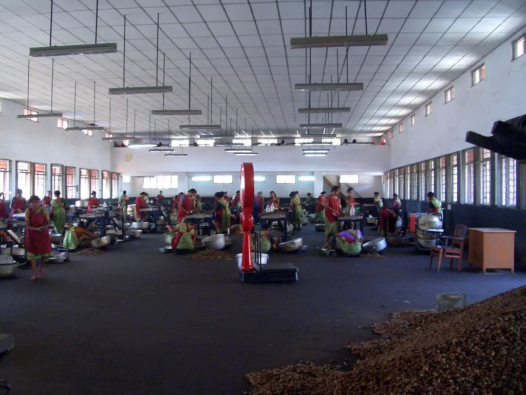 സർക്കാർ ധാരണ പാളി; കശുവണ്ടി ഫാക്ടറികള്‍ തുറക്കില്ല