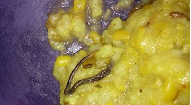 ഫരീദാബാദ് ഗവ.സ്കൂളിലെ ഉച്ചഭക്ഷണത്തില്‍ ചത്ത പാമ്പ്