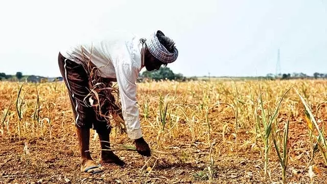 കടങ്ങള്‍ തിരിച്ചടക്കാന്‍ കര്‍ഷകര്‍ക്ക് സഹായവുമായി കേന്ദ്രം