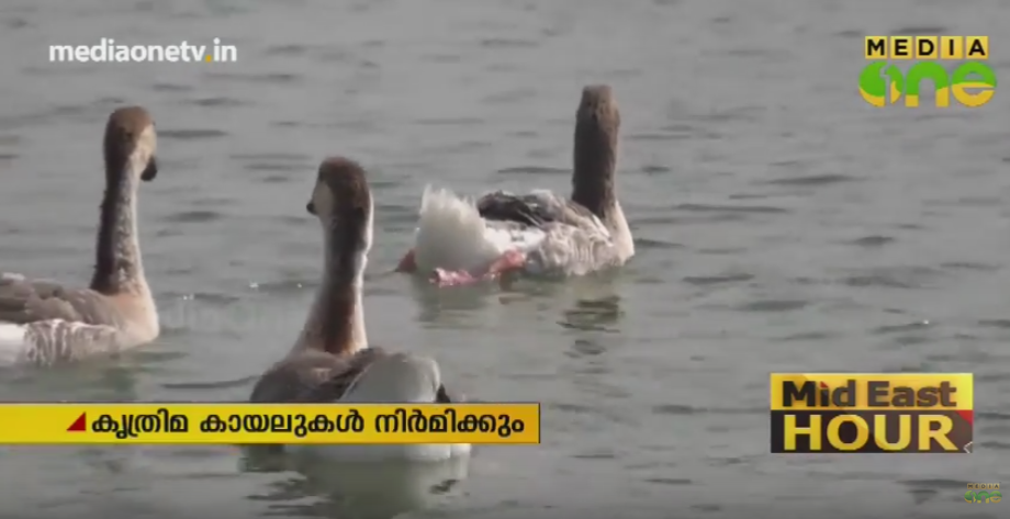 വിവിധ ഭാഗങ്ങളിൽ കൃത്രിമ കായലുകൾ നിർമിക്കാനൊരുങ്ങി കുവൈത്ത്