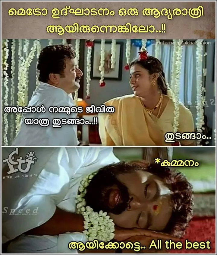 മെട്രോയില്‍ കള്ളവണ്ടി കയറിയ കുമ്മനത്തെ കൊന്നുകൊലവിളിച്ച് ട്രോളന്‍മാര്‍