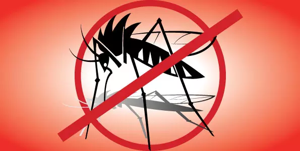 പത്തനംതിട്ടയില് ഡങ്കു ടൈപ്പ് 3; കര്ശന ജാഗ്രതാ നിര്ദേശം പത്തനംതിട്ടയില് ഡങ്കു ടൈപ്പ് 3; കര്ശന ജാഗ്രതാ നിര്ദേശം