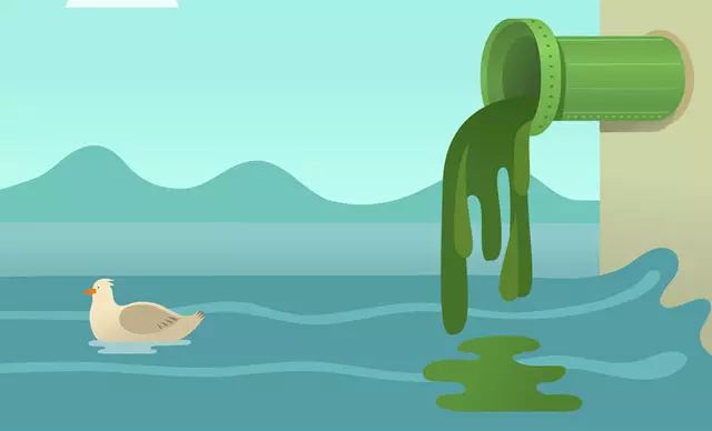 പശുഫാമില് നിന്നുള്ള മാലിന്യമൊഴുക്കി ജലാശയം മലിനീകരിക്കുന്നതായി പരാതി പശുഫാമില് നിന്നുള്ള മാലിന്യമൊഴുക്കി ജലാശയം മലിനീകരിക്കുന്നതായി പരാതി