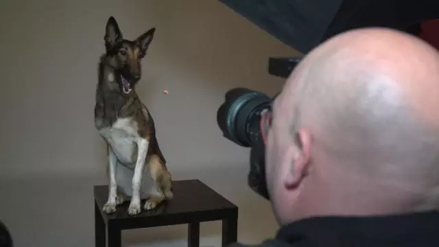 സ്പെയിനിലെ തെരുവ് നായകളുടെ ഫോട്ടോഗ്രാഫര്‍