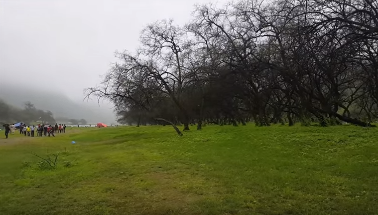 ഗള്‍ഫിലെ കേരളത്തില്‍ മഴക്കാല സീസണ്‍ തുടങ്ങി