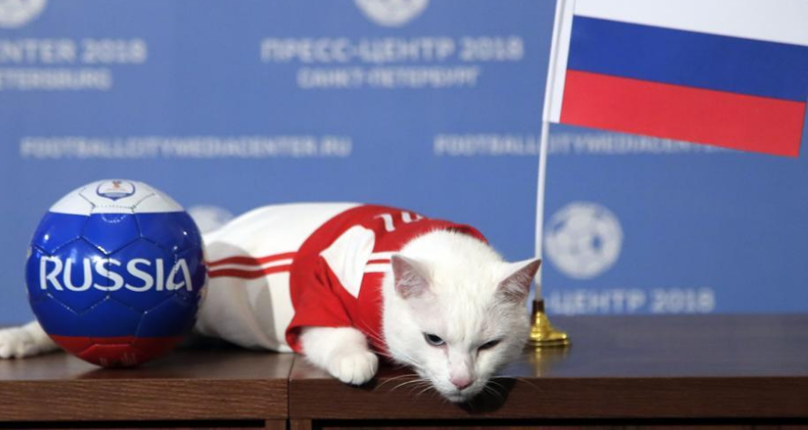 ഉദ്ഘാടന മത്സരത്തില്‍ ആര് ജയിക്കും? ആഷില്ലസ് പൂച്ചയുടെ പ്രവചനമെത്തി    