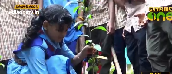 നാടിന് തണലാകാന്‍ ആയിരം മരങ്ങള്‍; പാതയോരത്ത് തൈകള്‍ നട്ടുപിടിപ്പിച്ച് കുട്ടികള്‍