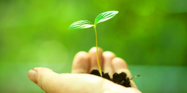 പരിസ്ഥിതി സംരക്ഷണത്തിന് പുത്തന് മാതൃകയുമായി ഒരു സ്കൂള് പരിസ്ഥിതി സംരക്ഷണത്തിന് പുത്തന് മാതൃകയുമായി ഒരു സ്കൂള്