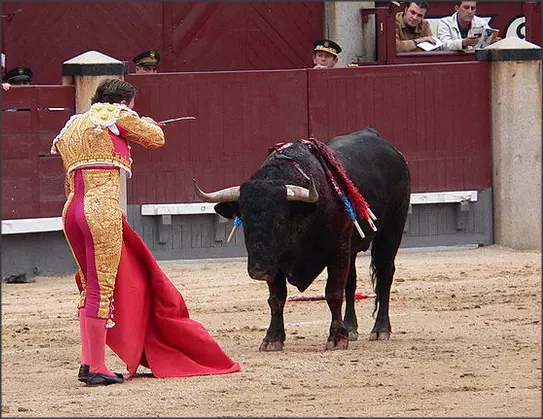 സ്പെയിനില് കാളപ്പോരിനെതിരെ മൃഗസ്നേഹികളുടെ കൂട്ടായ്മ സ്പെയിനില് കാളപ്പോരിനെതിരെ മൃഗസ്നേഹികളുടെ കൂട്ടായ്മ