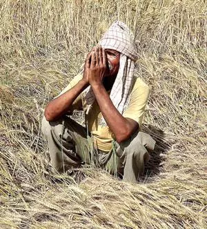 മഹാരാഷ്ട്രയില്‍ 3 മാസത്തിനുള്ളില്‍  639 കര്‍ഷക ആത്മഹത്യകള്‍