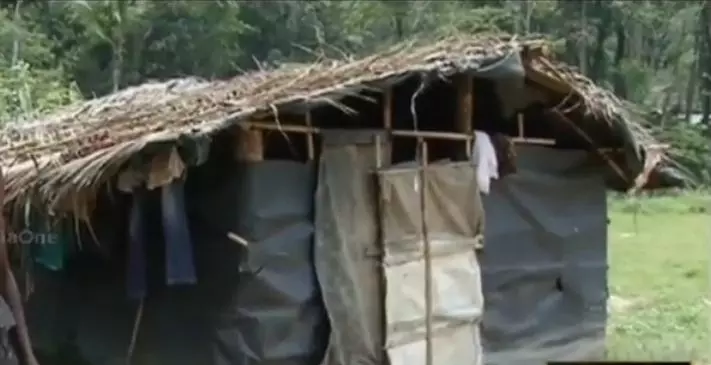 നേര്യമംഗലത്ത് ആദിവാസികള്ക്ക് അനുവദിച്ച പട്ടയഭൂമിയിൽ ദുരിത ജീവിതം നേര്യമംഗലത്ത് ആദിവാസികള്ക്ക് അനുവദിച്ച പട്ടയഭൂമിയിൽ ദുരിത ജീവിതം