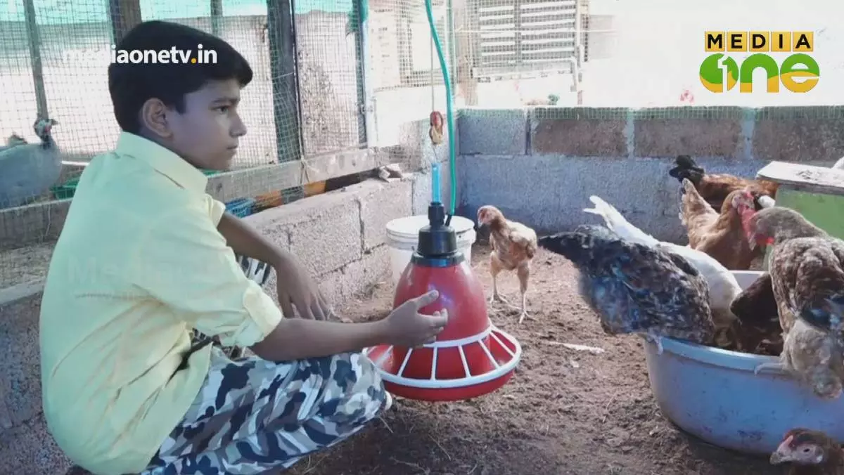 പാലേരിയിലെ ‘കുട്ടി മുതലാളി’; പക്ഷിവളര്‍ത്തലിലൂടെ ആയിരങ്ങള്‍ കൊയ്യുന്ന ആറാം ക്ലാസുകാരന്‍
