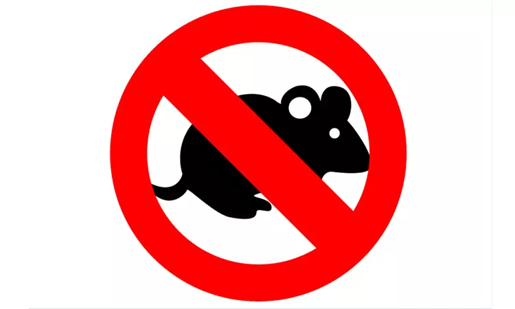 തിരുവനന്തപുരത്ത് എലിപ്പനി വ്യാപിക്കുന്നു; 93 കേസുകൾ റിപ്പോർട്ട് ചെയ്തു തിരുവനന്തപുരത്ത് എലിപ്പനി വ്യാപിക്കുന്നു; 93 കേസുകൾ റിപ്പോർട്ട് ചെയ്തു