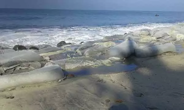 കടലിപ്പോഴും ആര്‍ത്തലച്ചെത്തുകയാണ്; ചെല്ലാനത്തുകാരെ ജിയോബാഗും ചതിച്ചു