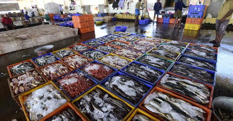 വിഷമീന്‍ തമിഴ്‍നാട്ടിലും; ജയലളിത ഫിഷറീസ് സർവകലാശാല നടത്തിയ പഠനത്തിലാണ് മത്സ്യത്തിൽ ഫോർമാലിന്റെ അംശം കണ്ടെത്തിയത്