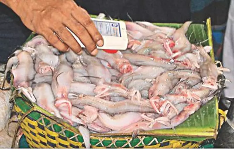 വിഷമീന് പരിശോധന നിലയ്ക്കാന് കാരണം എക്സ്പോര്ട്ടിംഗ് കമ്പനികള് വിഷമീന് പരിശോധന നിലയ്ക്കാന് കാരണം എക്സ്പോര്ട്ടിംഗ് കമ്പനികള്