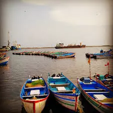 ലോക്ഡൌണിന്‍റെ പേരിൽ കൊല്ലത്ത് പൊലീസ് അതിക്രമം; വൃദ്ധരായ മത്സ്യ തൊഴിലാളികളെ മര്‍ദ്ദിച്ചതായി പരാതി