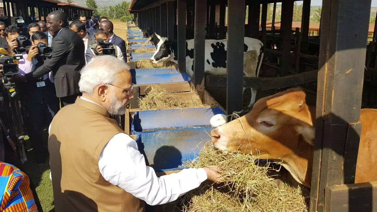 ‘ബീഫ് തിന്നുന്ന നാട്ടുകാര്ക്ക് മോദിയുടെ 200 പശുക്കള്; ചിരിപ്പിച്ച് ട്വിറ്റര് ‘ബീഫ് തിന്നുന്ന നാട്ടുകാര്ക്ക് മോദിയുടെ 200 പശുക്കള്; ചിരിപ്പിച്ച് ട്വിറ്റര്