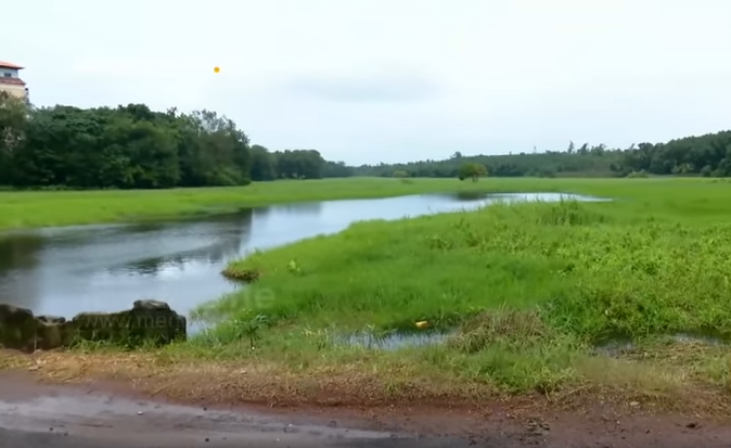 തുമ്പിച്ചാല്‍ വെറുമൊരു ചാലല്ല; ഒരുനാടിന്റെ നീര്‍ച്ചാലാണത്