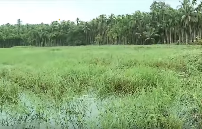 News Theatre |25-07-18| കീഴാറ്റൂർ ദേശീയപാതയുടെ അലൈൻമെന്റ് മാറ്റില്ല  