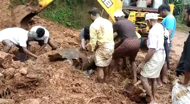 ഫാമിന് മുകളിലേക്ക് കുന്നിടിഞ്ഞു; 19 പോത്തുകള്ക്ക് ദാരുണാന്ത്യം ഫാമിന് മുകളിലേക്ക് കുന്നിടിഞ്ഞു; 19 പോത്തുകള്ക്ക് ദാരുണാന്ത്യം