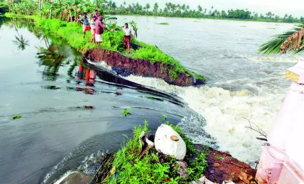 വെള്ളപ്പൊക്കം; കുട്ടനാട്ടിലെ വിനോദസഞ്ചാര മേഖലക്ക് വന് തിരിച്ചടി വെള്ളപ്പൊക്കം; കുട്ടനാട്ടിലെ വിനോദസഞ്ചാര മേഖലക്ക് വന് തിരിച്ചടി