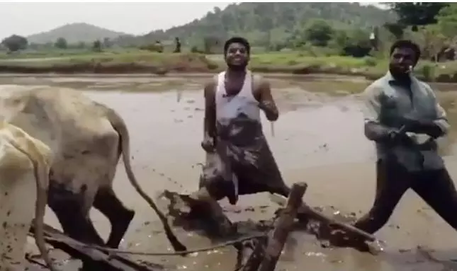 പരിസ്ഥിതി സൗഹൃദ, അപകട രഹിത കിക്കി ചലഞ്ചുമായി രണ്ട് കര്‍ഷകര്‍ 