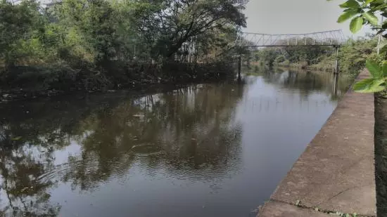 ‘കോഴിക്കോട്ടെ കനോലി കനാല്‍ നമുക്കൊന്ന് നന്നാക്കിയാലോ?   ജനകീയ പങ്കാളിത്തം അഭ്യര്‍ത്ഥിച്ച് കളക്ടര്‍   