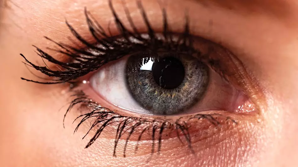 നേത്ര രോ​ഗങ്ങളും ചികിത്സയും Stethoscope Episode 228