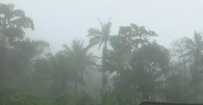 മലപ്പുറം,കോഴിക്കോട് ജില്ലകളിലെ വിദ്യാഭ്യാസ സ്ഥാപനങ്ങള്‍ക്ക് ഇന്ന് അവധി   