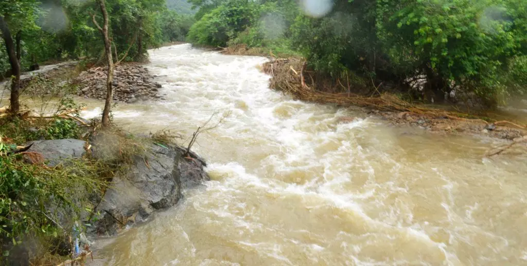 പാലക്കാട് മഴക്ക് നേരിയ ശമനം; രണ്ടു പേരുടെ മൃതദേഹം കണ്ടെത്തി