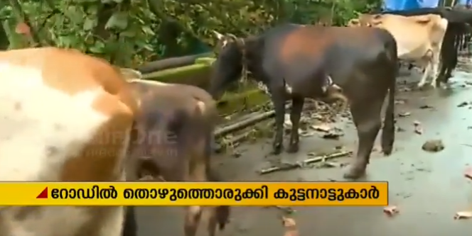 വേണ്ടിവന്നാല്‍ കുട്ടനാട്ടുകാര്‍ പാലവും പശുത്തൊഴുത്താക്കും