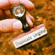 കോഴിക്കോട് കരകയറുന്നു; മഴക്കെടുതി നഷ്ടപ്പെടുത്തിയ രേഖകള്‍ സെപ്റ്റംബര്‍ 15 നകം