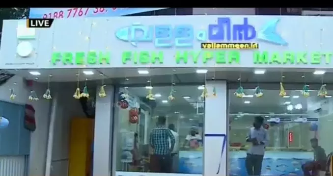 മീന്‍ പിടിക്കല്‍ ഹോബി, മീന്‍ കഴിക്കാനിഷ്ടം: മീന്‍ കച്ചവടം തന്നെ തുടങ്ങി ഈ സുഹൃത്തുക്കള്‍