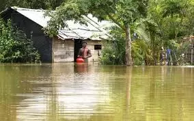 പണം മുന്‍കൂര്‍ വാങ്ങി കരാറുകാര്‍‌; എന്നിട്ടും പമ്പിംങ് ആരംഭിക്കാതെ കുട്ടനാട്ടെ പല പാടങ്ങളും