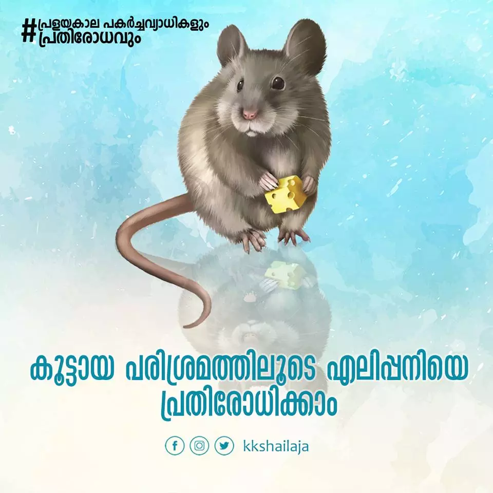 എന്താണ് എലിപ്പനി..? എങ്ങിനെ തടയാം എന്താണ് എലിപ്പനി..? എങ്ങിനെ തടയാം