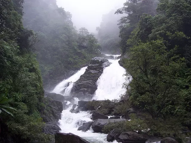 ആറളത്ത് ഉരുള്‍‌പൊട്ടല്‍: ചീങ്കണ്ണിപുഴ, കക്കുവ പുഴ എന്നിവ‌ കരകവിഞ്ഞു