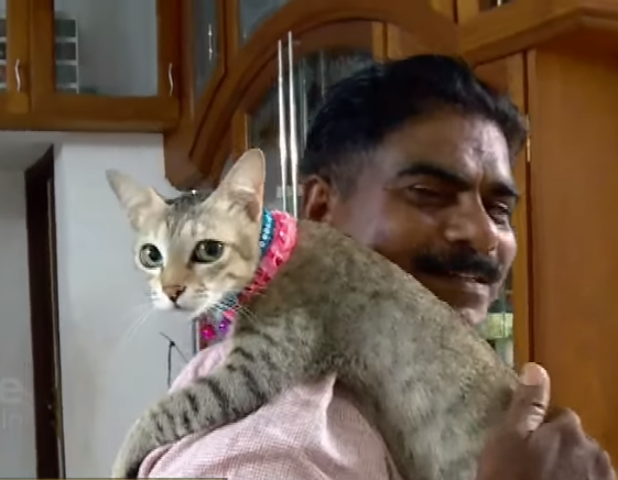 ഓമനപ്പൂച്ചക്കുറങ്ങാന്‍ തൊട്ടിലും കിടക്കയും, ആരെയും അത്ഭുതപ്പെടുത്തും ലത്തീഫിന്റെ പൂച്ച സ്നേഹം