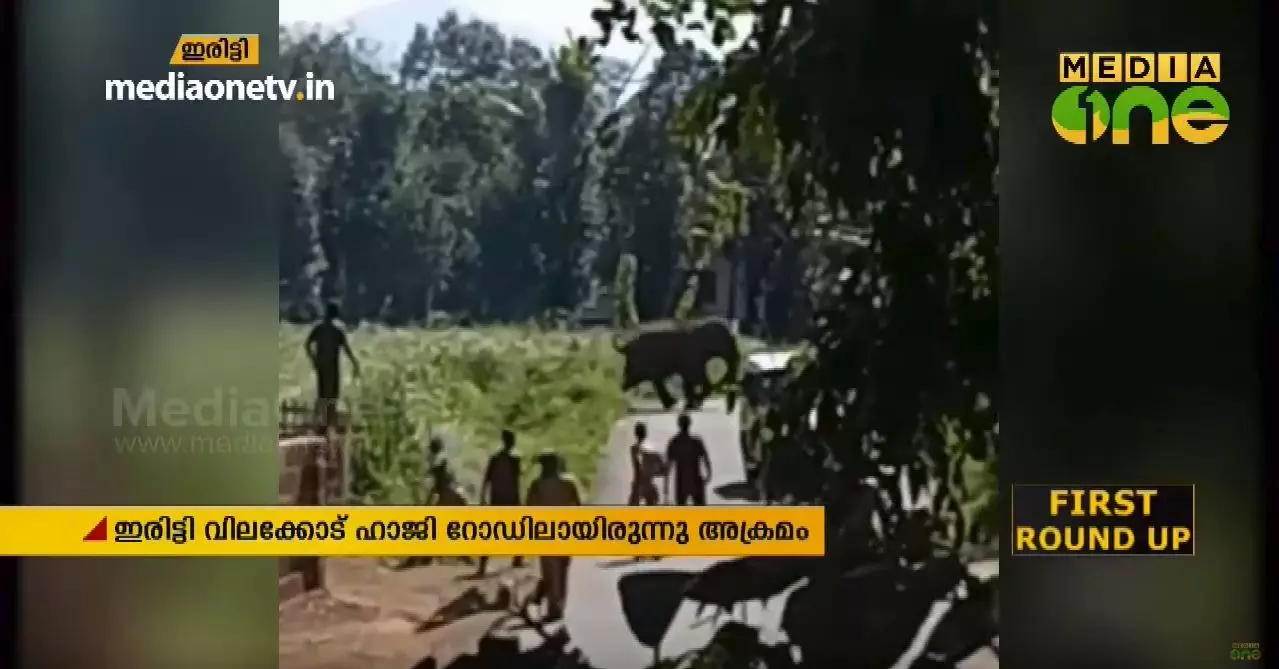 കണ്ണൂര്‍ ഇരിട്ടിയില്‍ കാട്ടാനയുടെ വിളയാട്ടം