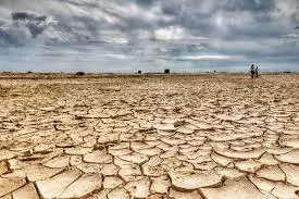 കനത്ത ചൂട്; പാലക്കാട് വരള്ച്ചയിലേക്ക് കനത്ത ചൂട്; പാലക്കാട് വരള്ച്ചയിലേക്ക്